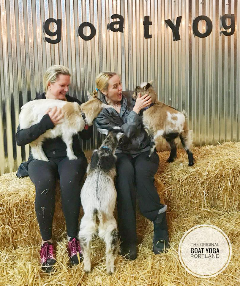 Original Goat Yoga- Oregon City OR | 17531 S Henrici Rd, Oregon City, OR 97045, USA | Phone: (888) 992-4628