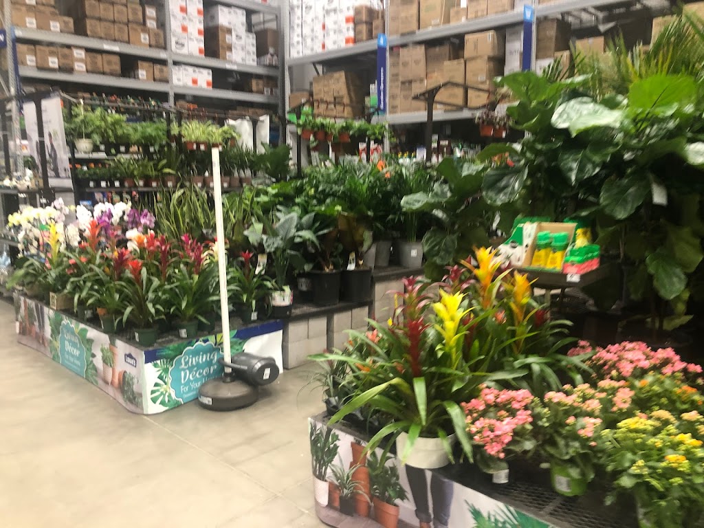 Lowes Garden Center | 25311 N Lake Pleasant Pkwy, Peoria, AZ 85383 | Phone: (623) 537-2640