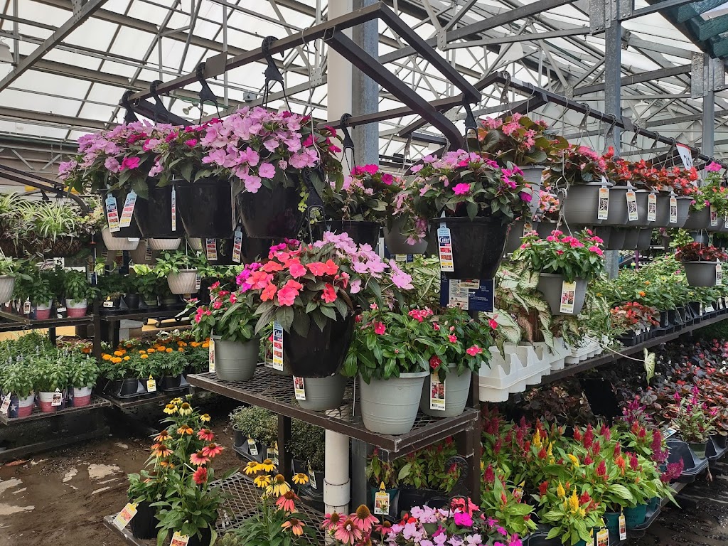 Lowes Garden Center | 6011 Lemmon Ave, Dallas, TX 75209, USA | Phone: (214) 259-0021