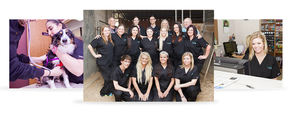 Mansfield Animal Clinic | 1258 N Main St Suite 120, Mansfield, TX 76063, USA | Phone: (817) 663-8101