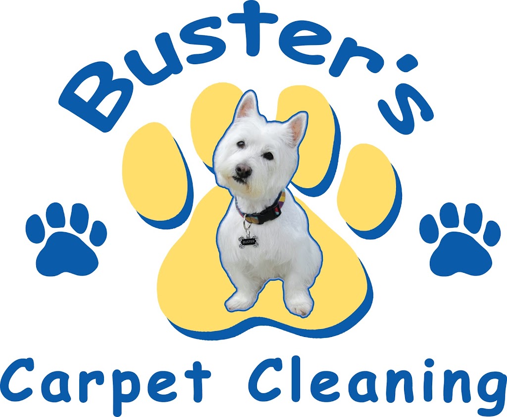 Busters Carpet Cleaning | 5120 Benton Ave, Edina, MN 55436, USA | Phone: (952) 220-5809