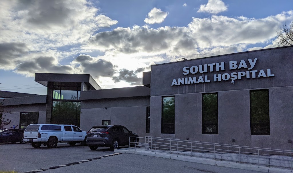 South Bay Animal Hospital | 5188 Moorpark Ave, San Jose, CA 95129, USA | Phone: (408) 899-4791