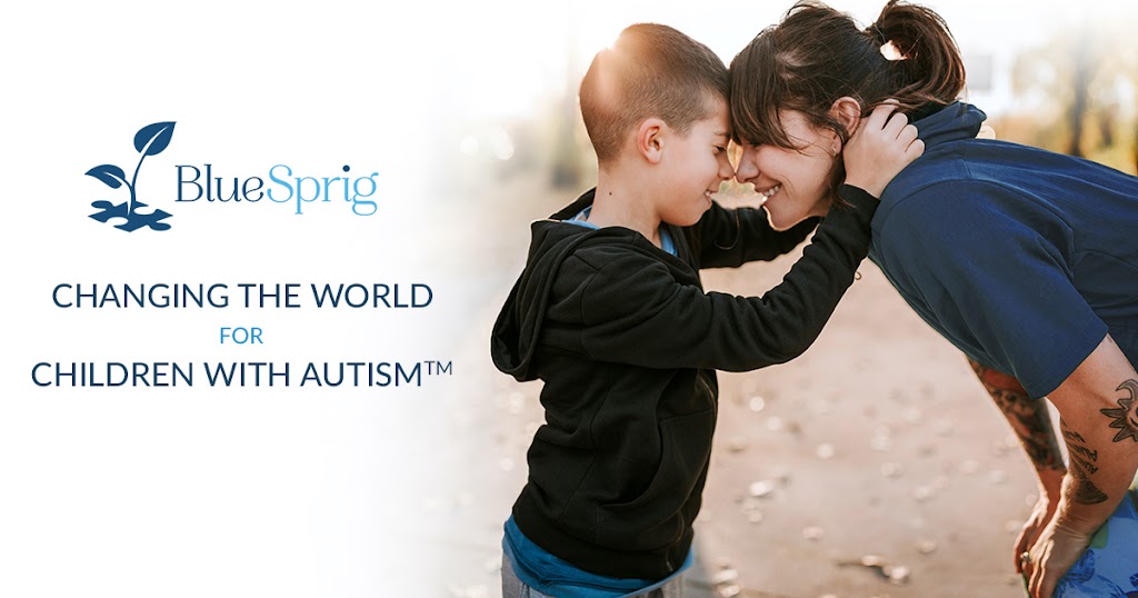 BlueSprig | 4491 Long Prairie Rd Suite 100, Flower Mound, TX 75028, USA | Phone: (469) 687-9184