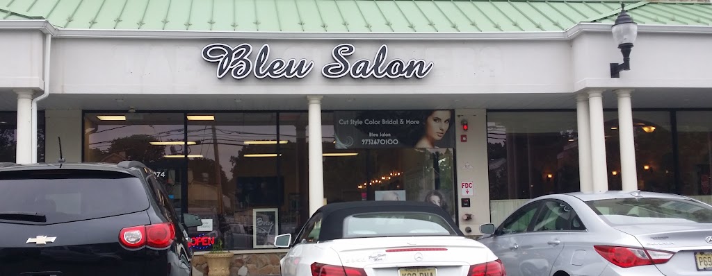 BLEU SALON | 974 Tabor Rd, Morris Plains, NJ 07950, USA | Phone: (973) 267-0100