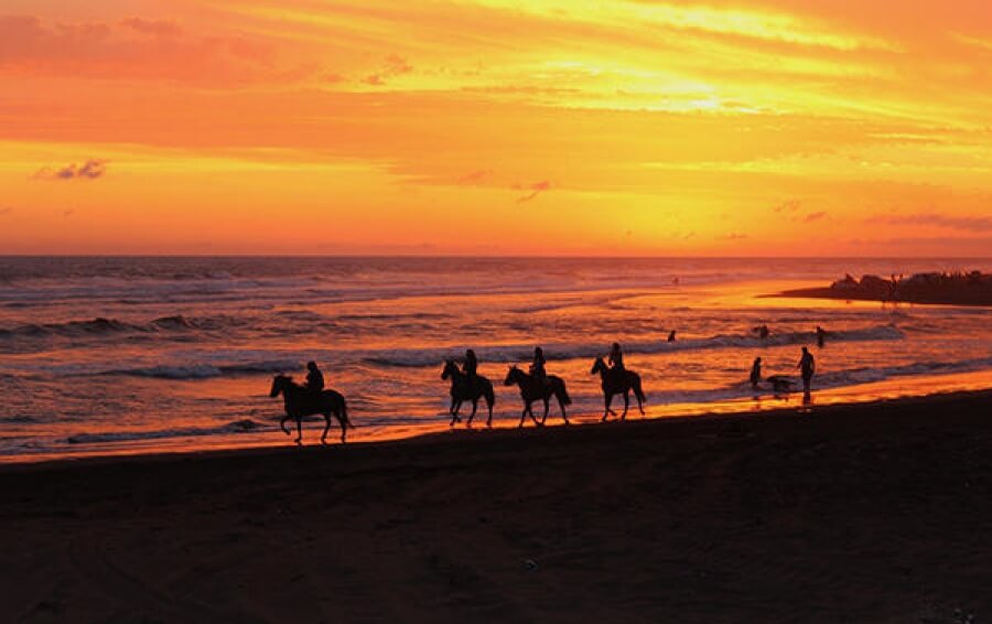 Toursxrosaritobeach | René Ortiz C., Centro Playas, 22710 Rosarito, B.C., Mexico | Phone: 661 116 0059