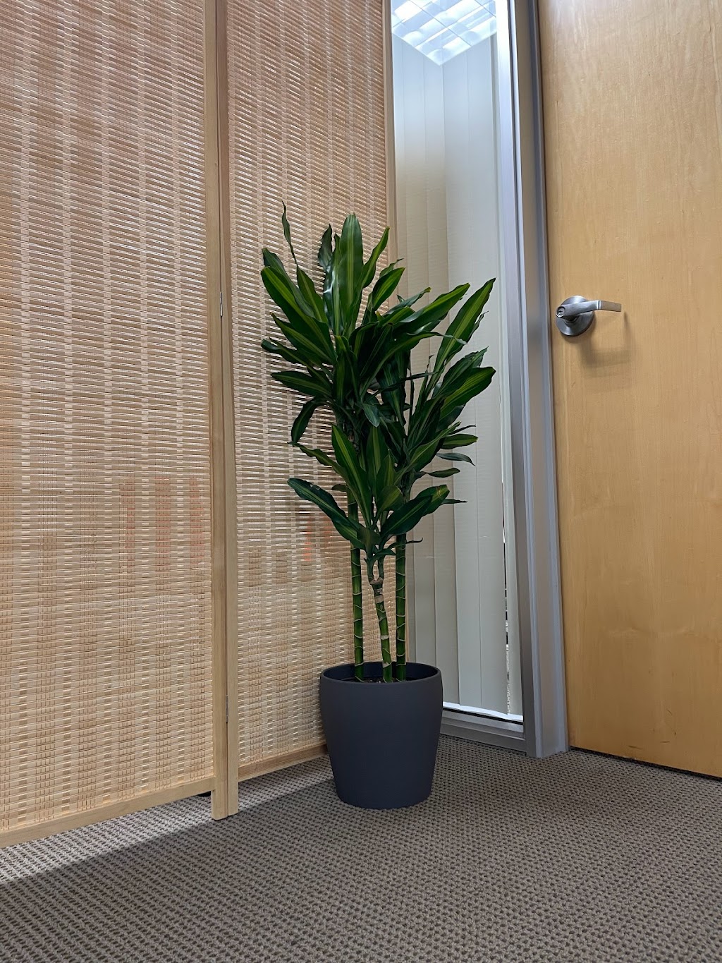 Sunshine Healing Center | 2975 Bowers Ave Ste.223, Santa Clara, CA 95051, USA | Phone: (408) 832-1393