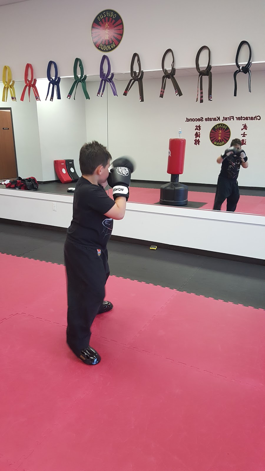 Bushido Budokan Academy of Self Defense | 23401 Jefferson Ave Ste 3, St Clair Shores, MI 48080, USA | Phone: (586) 200-9997