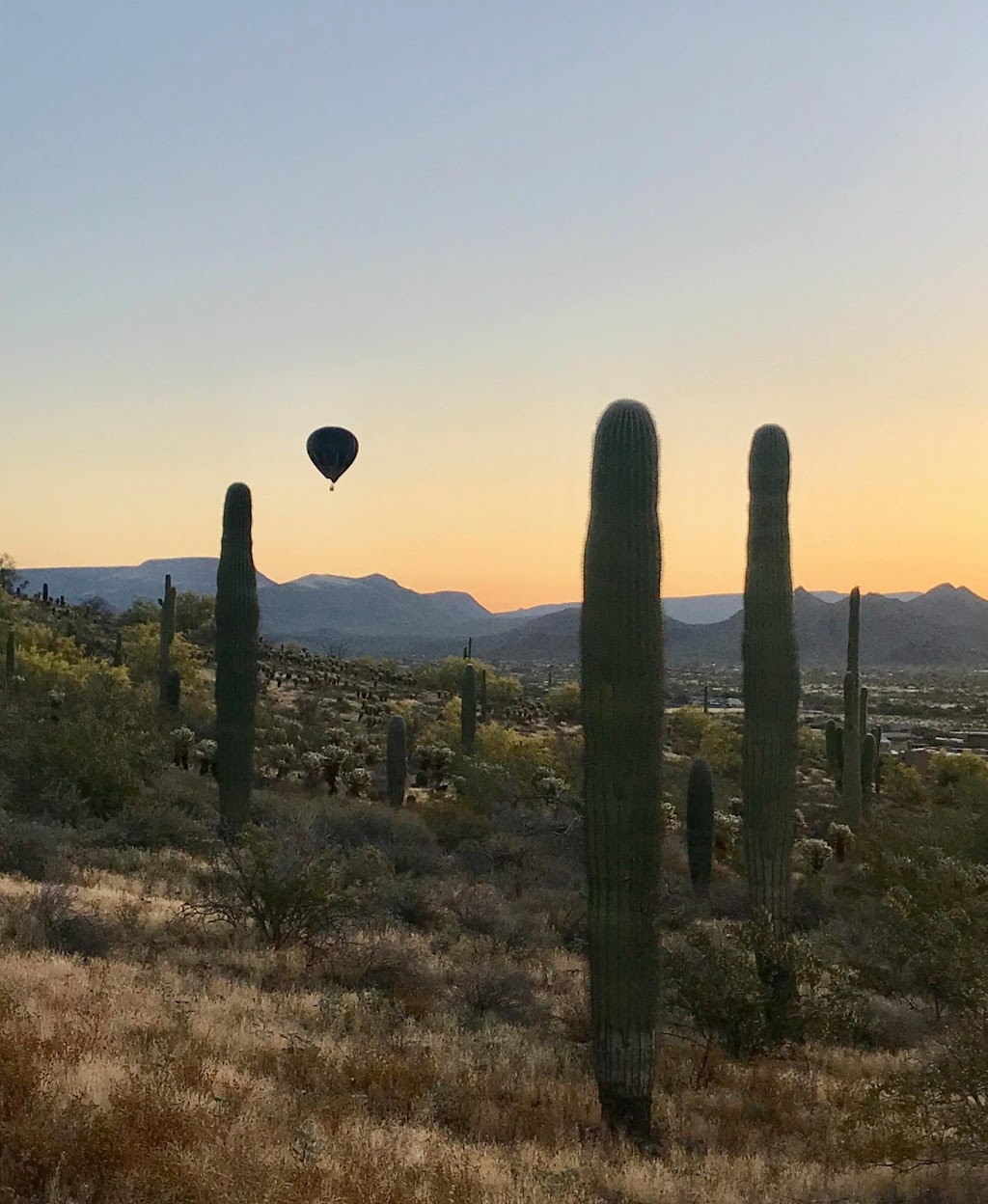 Destination Balloon Rides | 33010 10th St, Phoenix, AZ 85085, USA | Phone: (302) 236-7425