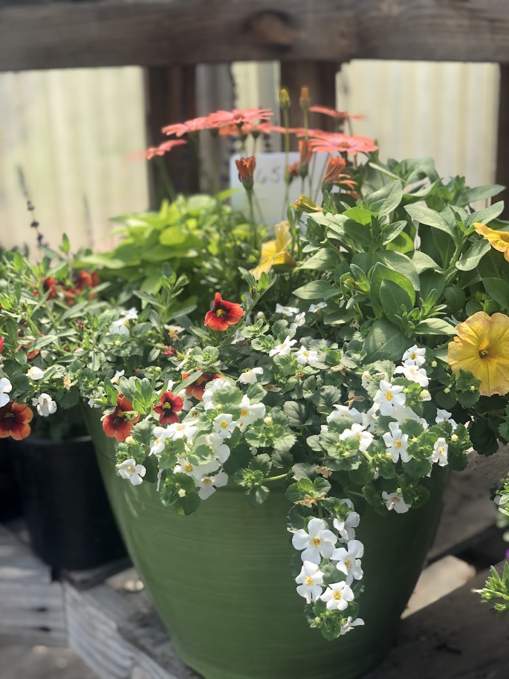 Campbell Farms | 4676 OR-211, Woodburn, OR 97071, USA | Phone: (503) 634-2706