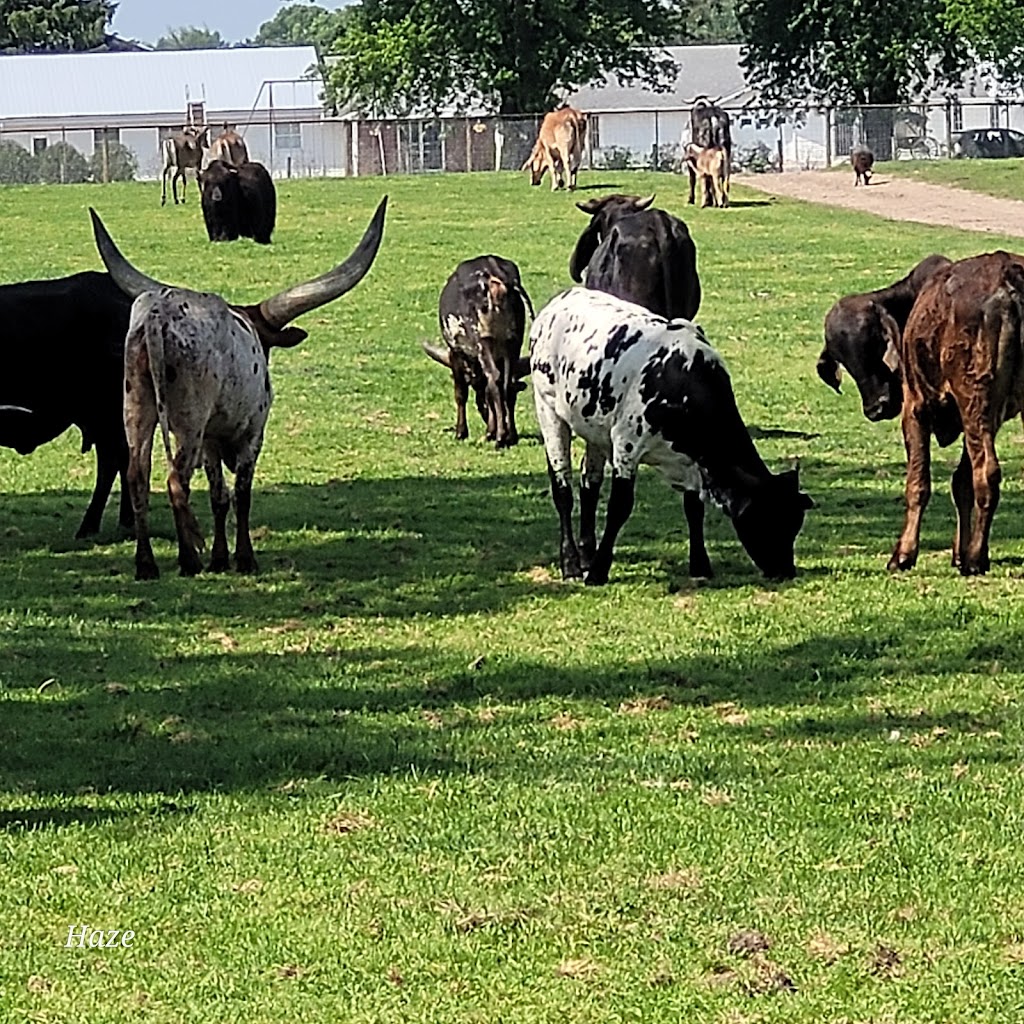 Dutch Creek Farm Animal Park | 6255 N 1000 W, Shipshewana, IN 46565, USA | Phone: (260) 768-4416