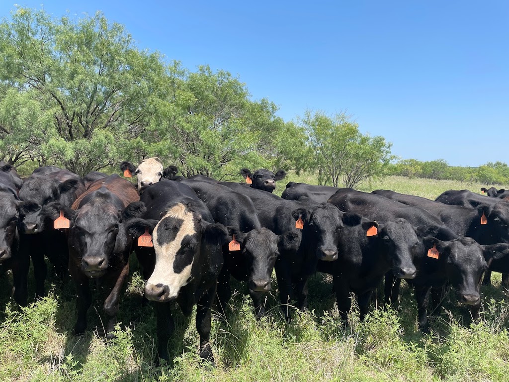 Trinity Land Team | 208 N Main St, Weatherford, TX 76086, USA | Phone: (940) 550-8099