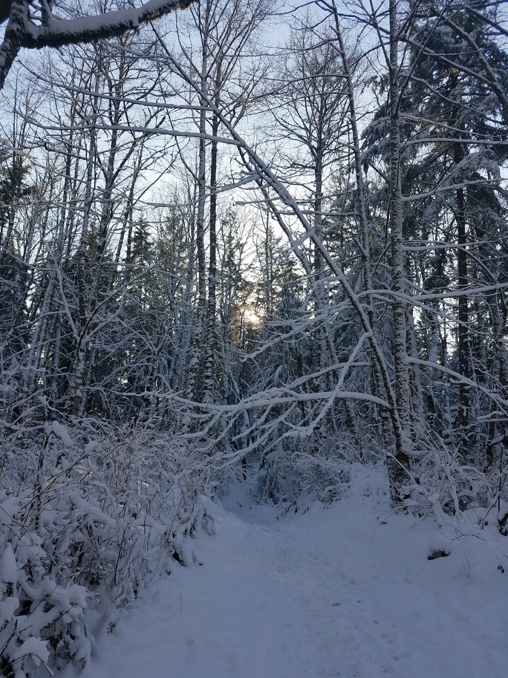 Wilderness Peak | Wilderness Peak Trail, Renton, WA 98059, USA | Phone: (206) 477-4527