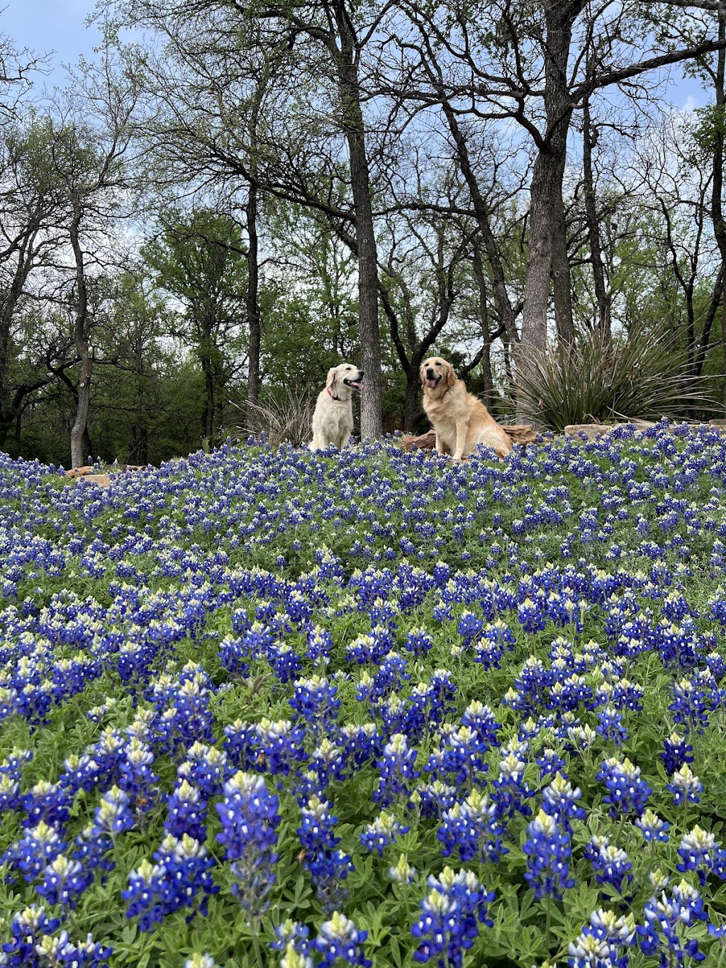 Village Park | 907 Saddle Brook Dr #901, Highland Village, TX 75077, USA | Phone: (972) 317-4730