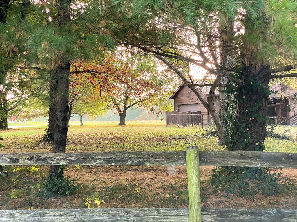 On Purpose Hypnotherapy | 4965 Stone Falls Ctr, OFallon, IL 62269, USA | Phone: (618) 624-3322