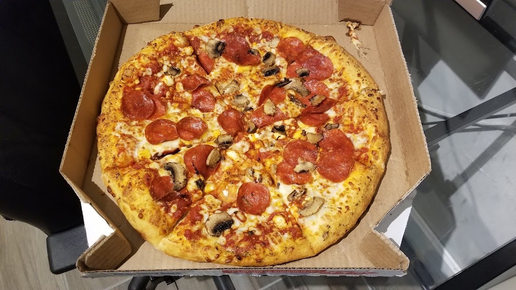 Dominos Pizza | 1943 N Pine Island Rd, Plantation, FL 33322, USA | Phone: (954) 474-4800