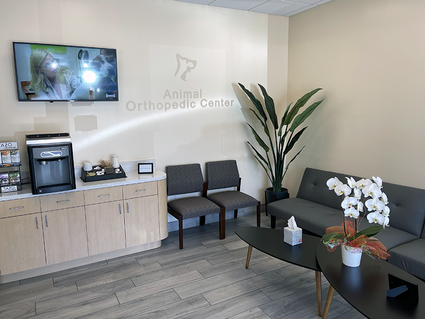 Animal Orthopedic Center | 446 N Lakeview Ave, Anaheim, CA 92807, USA | Phone: (714) 701-6720