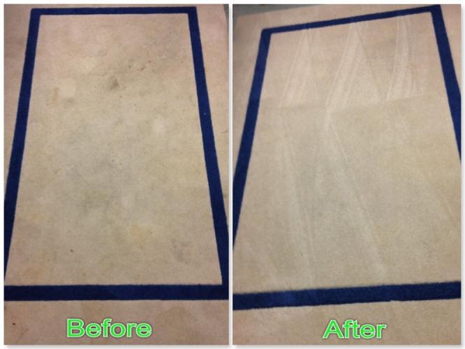 Pure Green Cleaning | 24480 Taft Rd, Novi, MI 48375, USA | Phone: (248) 982-2455