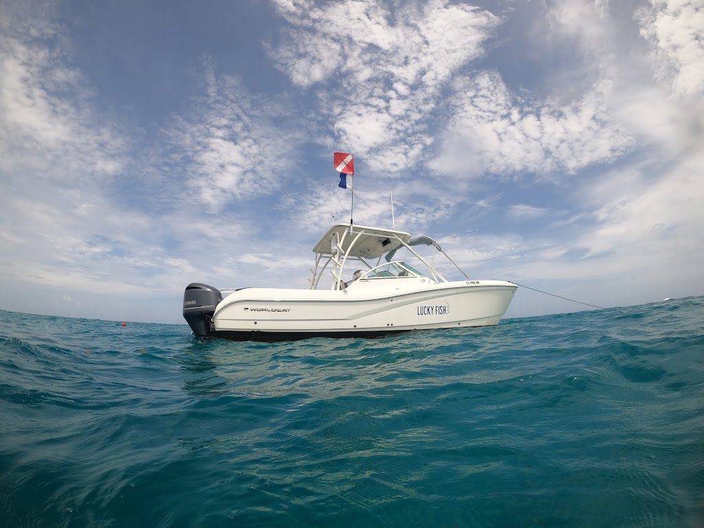 Lucky Fish Scuba | 21 Garden Cove Dr, Key Largo, FL 33037, USA | Phone: (305) 766-2166