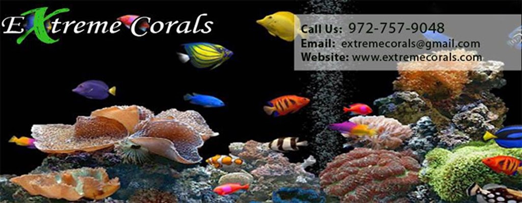 Extreme Corals | 2705 Jackson Ct, Colleyville, TX 76034, USA | Phone: (972) 757-9048