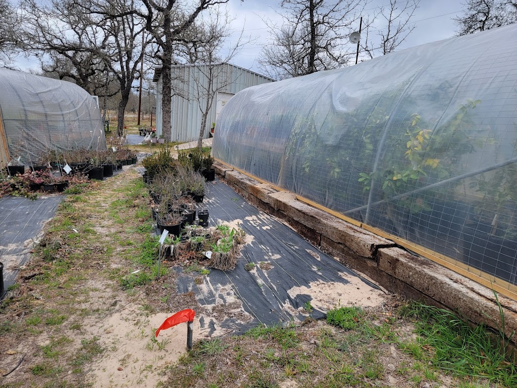 Enchanted Oak Lawn and Garden Nursery 530 Enchanted Oak Dr, La Vernia