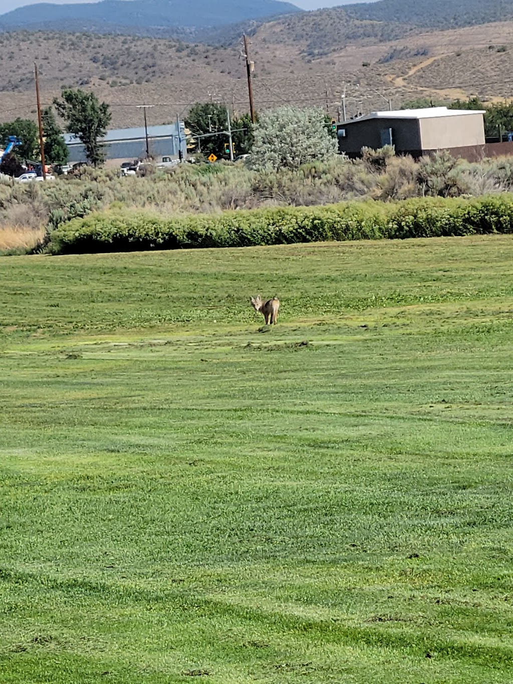 Eagle Valley Golf Course | 3999 Centennial Park Dr, Carson City, NV 89706, USA | Phone: (775) 887-2380