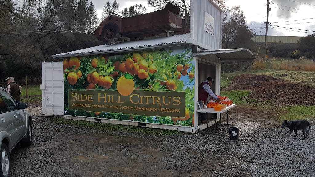 Side Hill Citrus Mandarins | 9200 CA-193, Newcastle, CA 95658 | Phone: (916) 343-1098