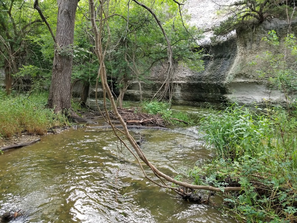 Brushy Creek | 16533 Along Creek Cove, Austin, TX 78717, USA | Phone: (512) 974-6700