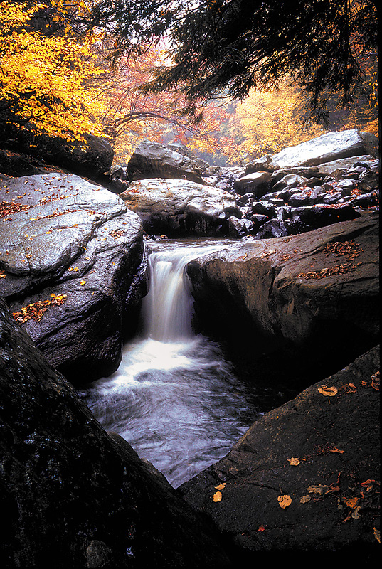 Crede Calhoun Photography | 720 Morris Ave, Friendsville, MD 21531, USA | Phone: (301) 746-4083