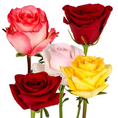 Sams Club Floral | 22500 Eight Mile Rd, Southfield, MI 48033, USA | Phone: (248) 354-1108