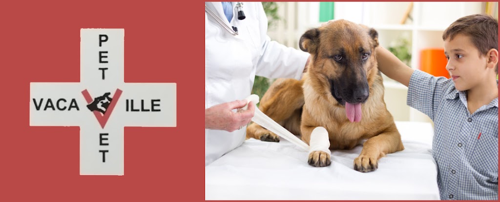 Vacaville Pet Vet Clinic, Inc. | 1909 Peabody Rd #1, Vacaville, CA 95687, USA | Phone: (707) 455-8383