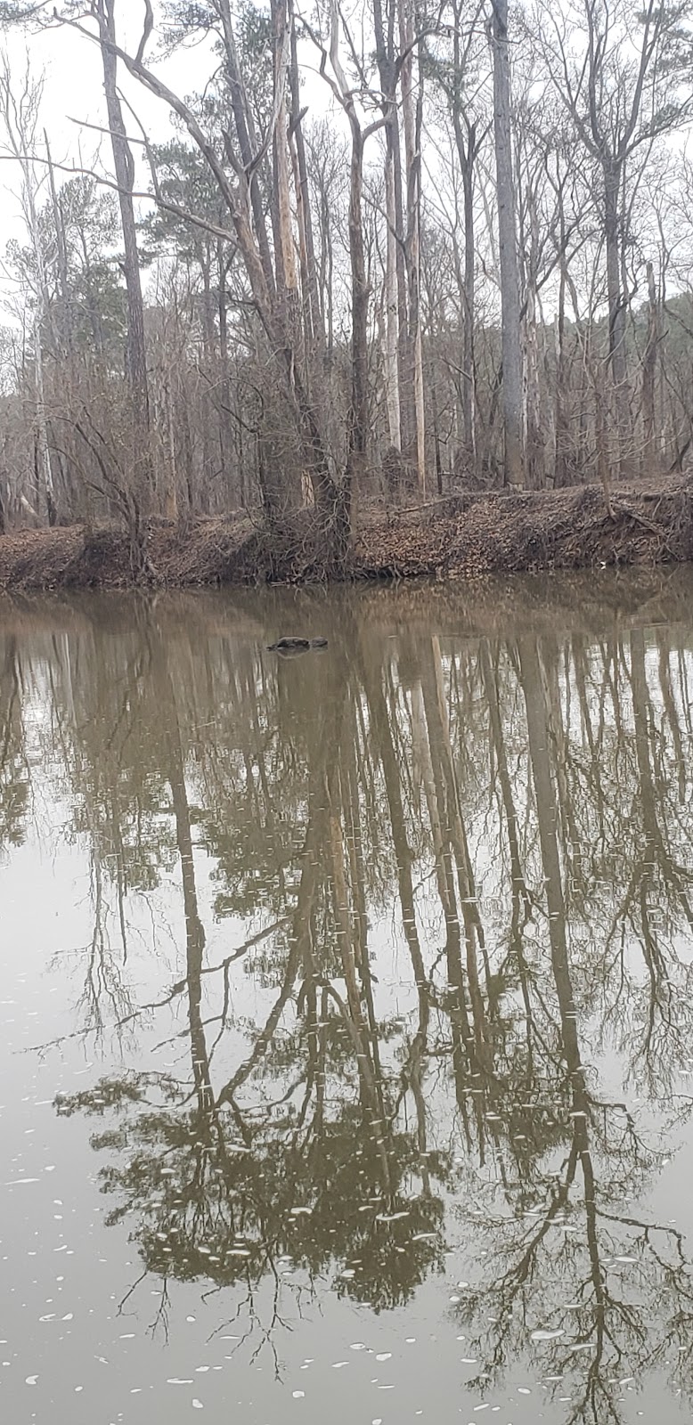 Robeson Creek Canoe Launch | Hanks Chapel Rd, Pittsboro, NC 27312, USA | Phone: (919) 362-0586