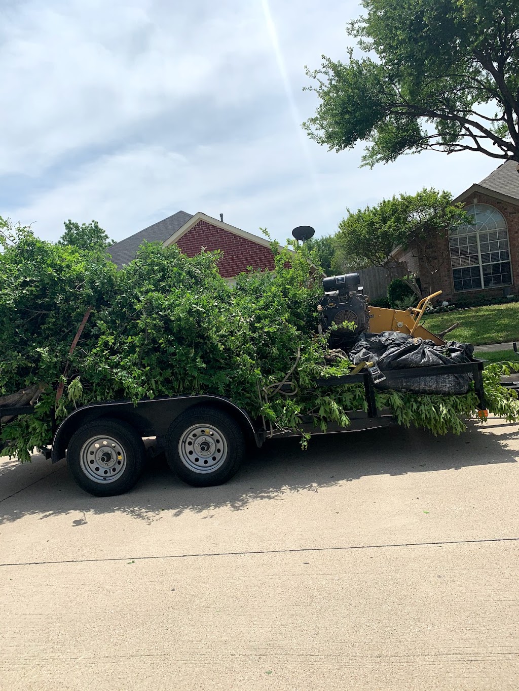 Rivera’s tree service | 102 Ridgeway Cir, Lewisville, TX 75067, USA | Phone: (214) 682-8534
