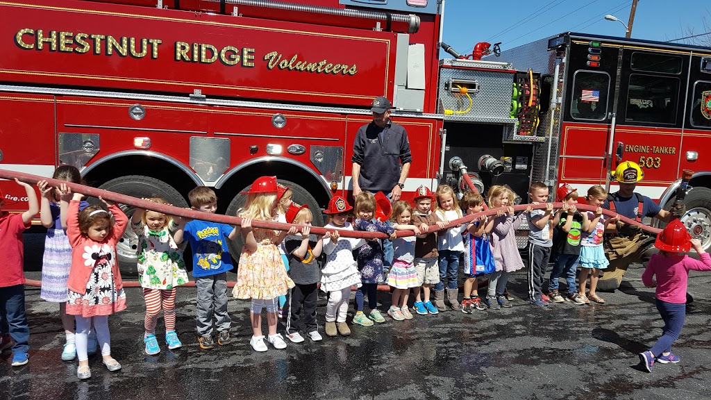 Chestnut Ridge Volunteer Fire Company | 12020 Greenspring Ave, Owings Mills, MD 21117, USA | Phone: (410) 887-7781
