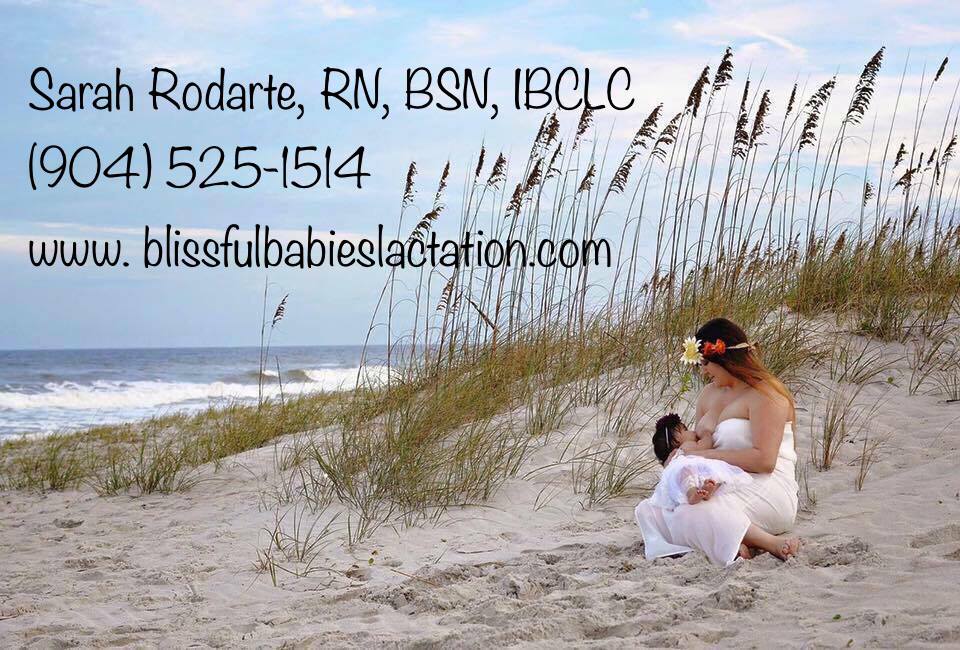 Blissful Babies Lactation | 174 Celtic Wedding Dr, St Johns, FL 32259, USA | Phone: (904) 525-1514