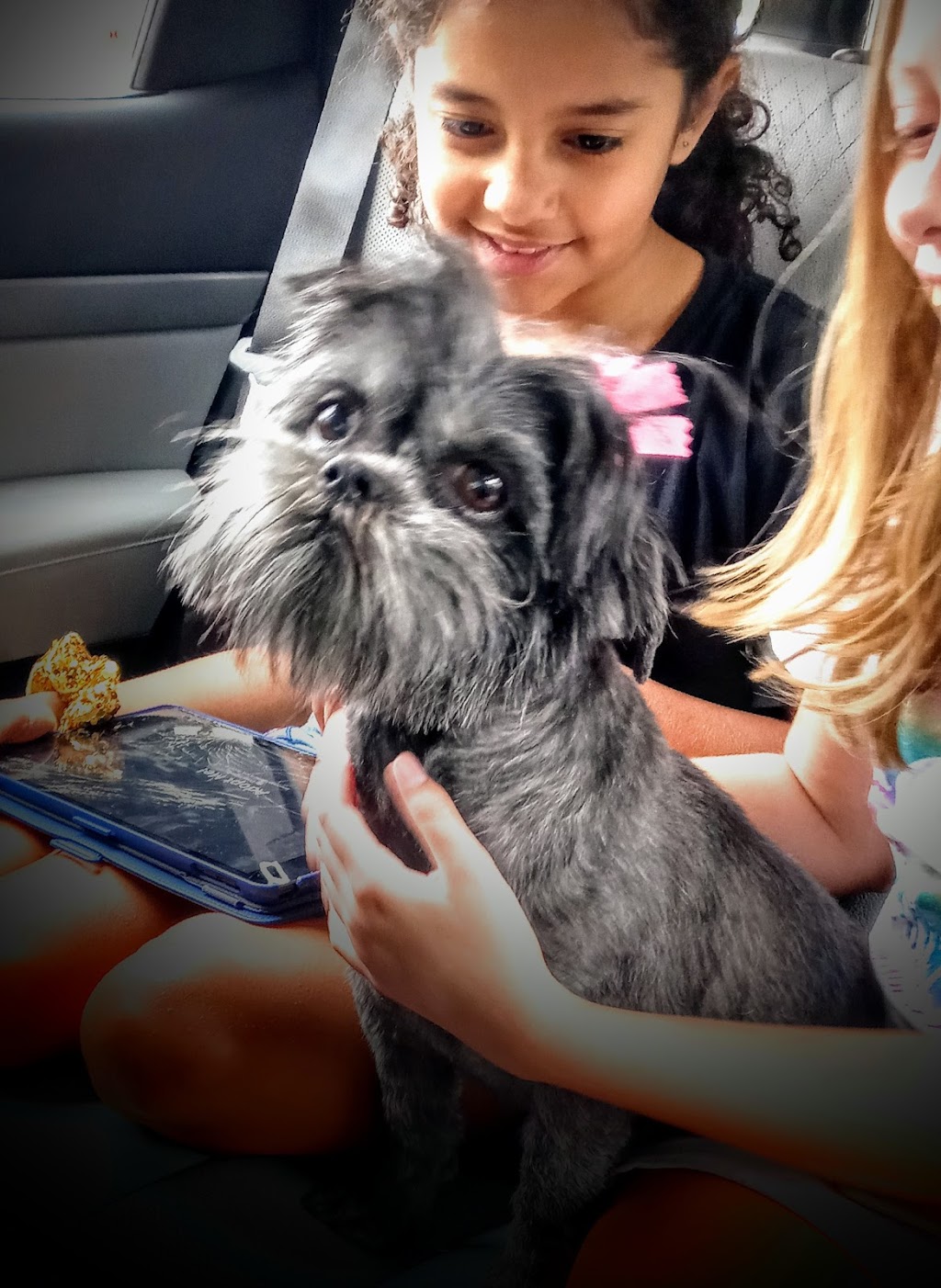 A Gentle Touch Pet Grooming | 8970 103rd St St. 2, Jacksonville, FL 32210, USA | Phone: (904) 573-2929 A Gentle Touch Pet Grooming | 8970 103rd St St. 2, Jacksonville, FL 32210, USA | Phone: (904) 573-2929