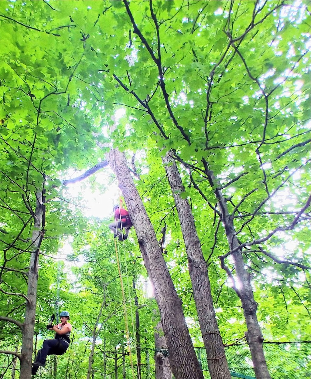 Treehouse Rental Adventures - Earthjoy | 3400 Bridgeville Rd, Brooksville, KY 41004, USA | Phone: (859) 380-1945