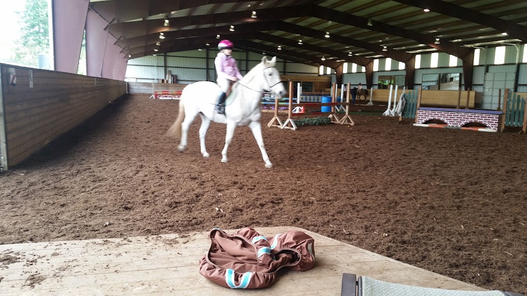 Goin Places Riding School | 28303 SW Baker Rd, Sherwood, OR 97140 | Phone: (503) 734-7617