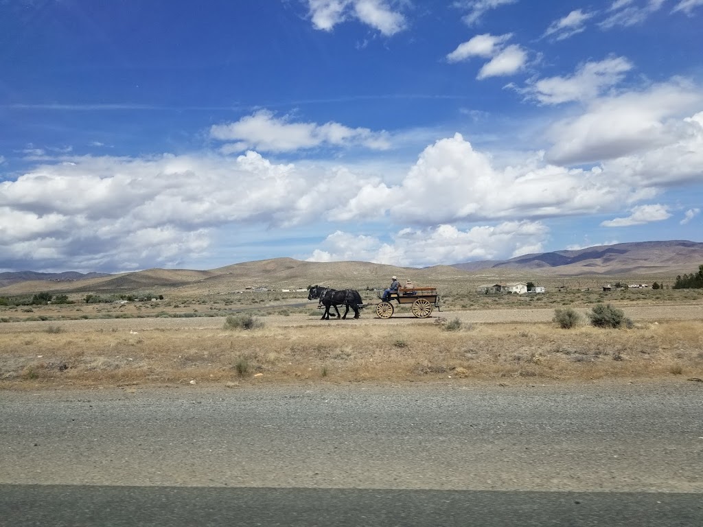 Mule Flats Storage | 8785 US-50, Silver Springs, NV 89429, USA | Phone: (775) 629-0192
