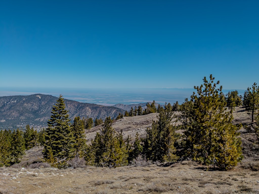 East Tumamait Trailhead - 21W03 | Mt Pinos Rd, Frazier Park, CA 93225, USA | Phone: (661) 245-3731 ext. 0