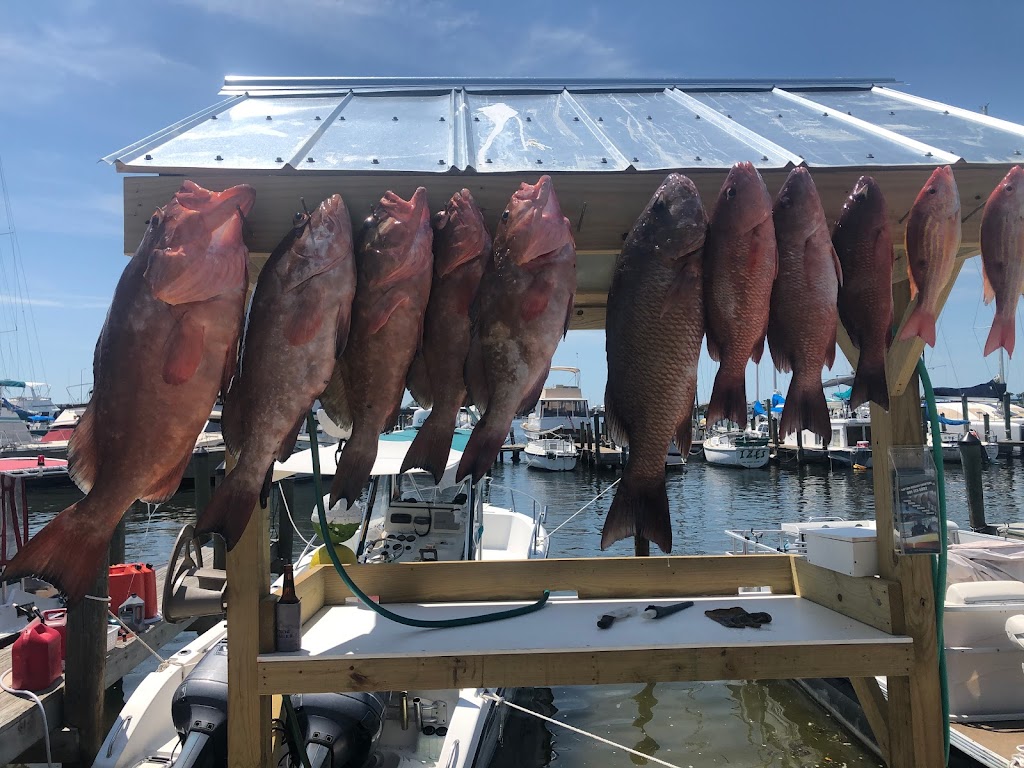 Captain Morgan Fishing Charters | 4110 127th St W, Cortez, FL 34215, USA | Phone: (941) 773-5882