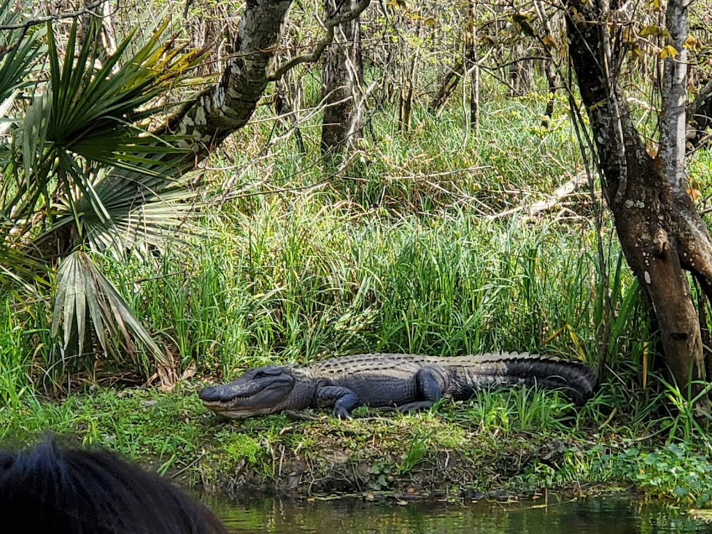 Cajun Pride Swamp Tours | 110 Frenier Rd, Laplace, LA 70068 | Phone: (504) 467-0758