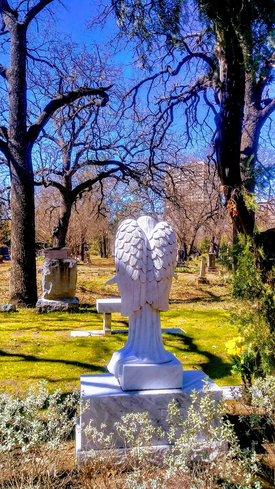 Greenwood Cemetery | 3020 Oak Grove Ave, Dallas, TX 75204, USA | Phone: (214) 953-1898