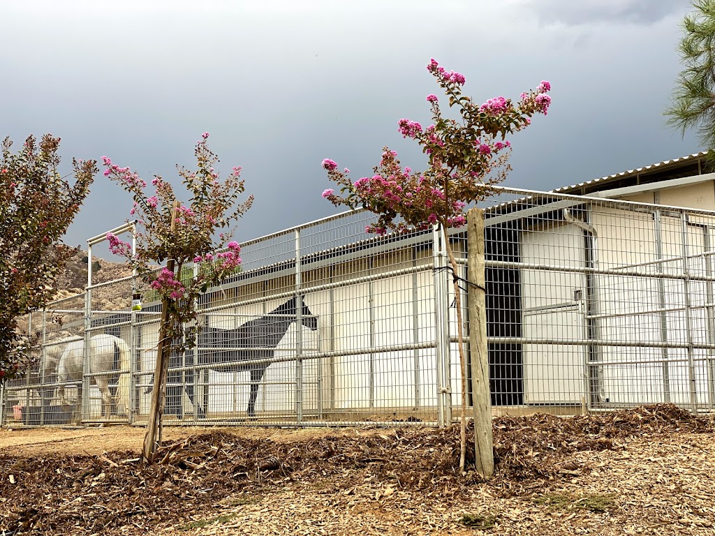 White Brook Farm | 40542 Quiet Hill drive, Hemet, CA 92544, USA | Phone: (951) 515-6039