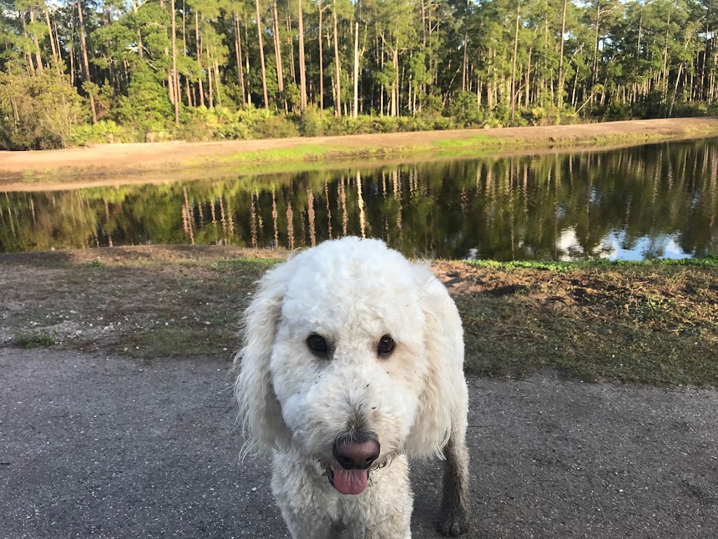 Nocatee Community Dog Park | 707 Nocatee Center Way, Ponte Vedra Beach, FL 32081, USA | Phone: (800) 662-2833