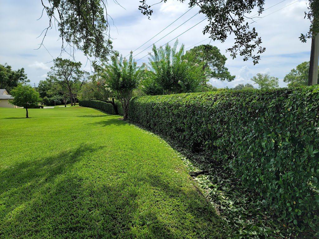 Pro Line Lawn Care & Pest Control | 10916 Woodland Dr, Hudson, FL 34669, USA | Phone: (727) 514-1761