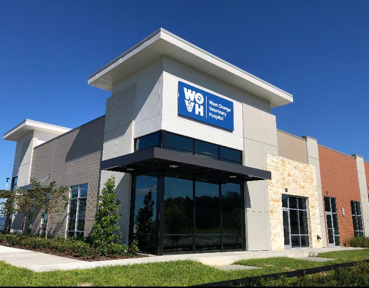 West Orange Veterinary Hospital at Hamlin | 15820 Shaddock Dr Suite 100, Winter Garden, FL 34787, USA | Phone: (407) 656-1800