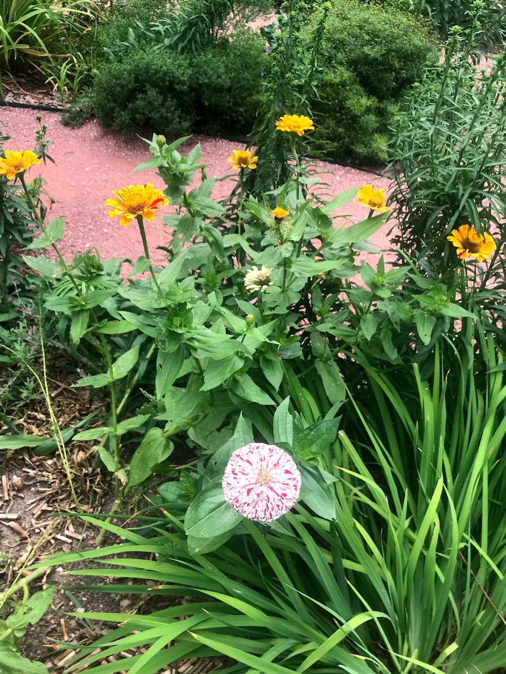 Pilgrim Labyrinth & Butterfly Garden | 3700 Gillham Rd, Kansas City, MO 64111, USA | Phone: (816) 753-6719