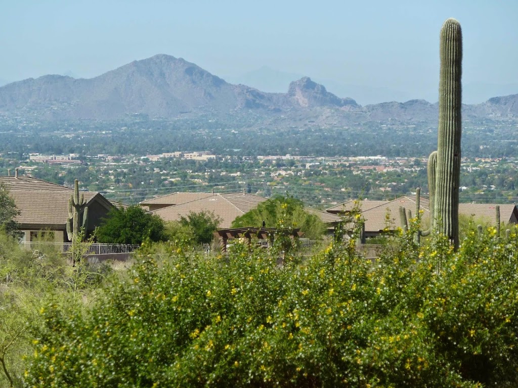 RE/MAX Fine Properties: Jan Carpenter | 21000 N Pima Rd, Scottsdale, AZ 85255, USA | Phone: (602) 686-2919