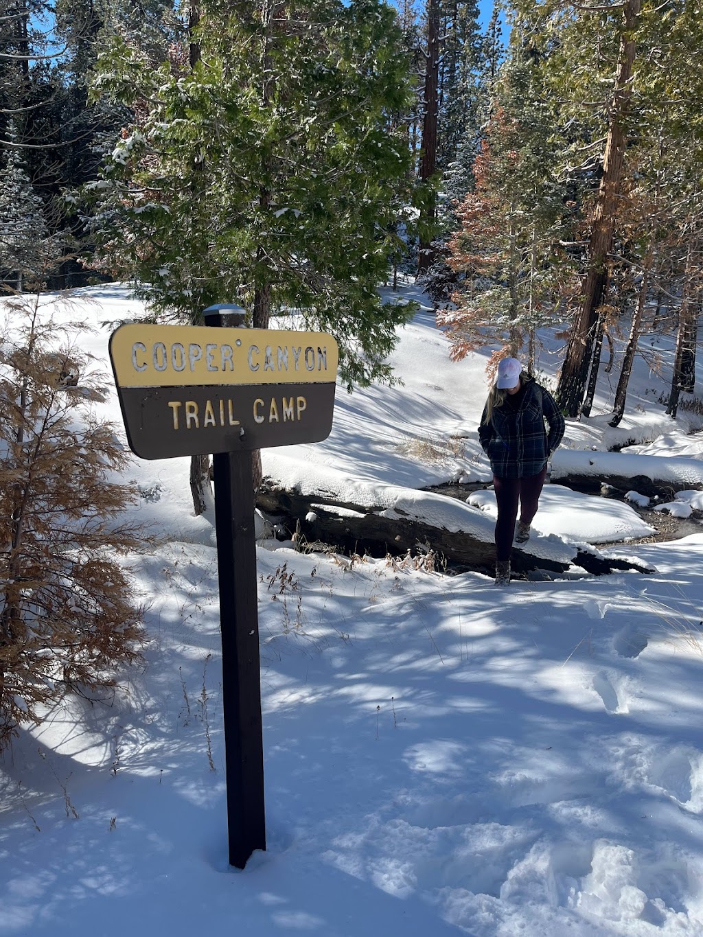 Burkhart Trail to Cooper Canyon Falls | Burkhart Trail, Pearblossom, CA 93553, USA | Phone: (626) 574-1613