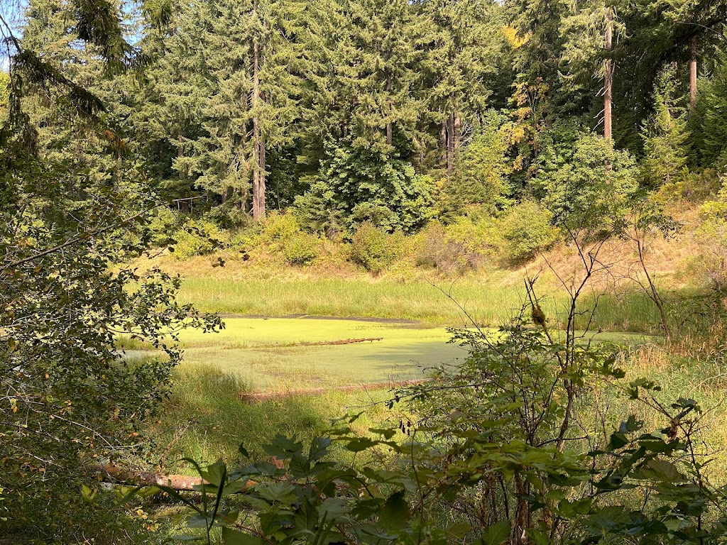 LL Stub Stewart Disc Golf Course | Buxton, OR 97109, USA | Phone: (800) 452-5687